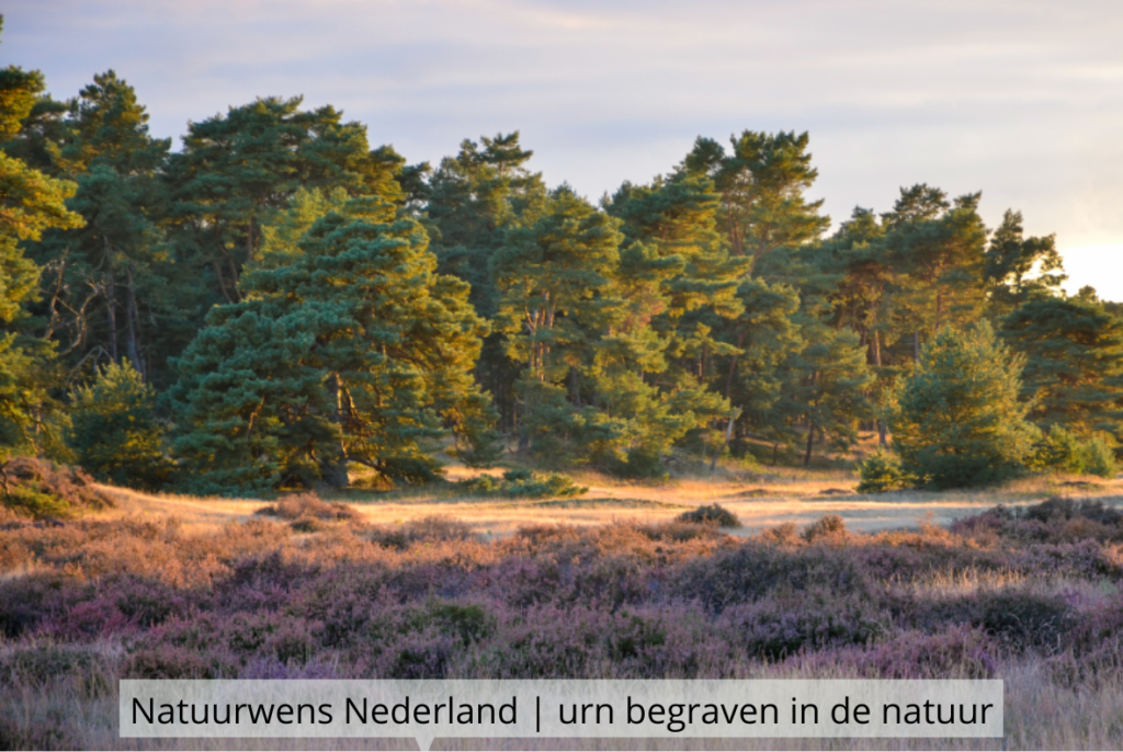 Natuurlijk Afscheid uitvaartbegeleider natuurbegraven Natuurwens Nederland